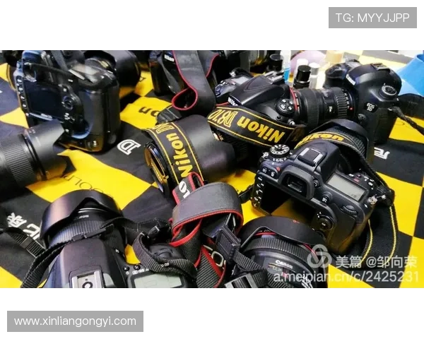 问鼎娱乐集团娱乐平台：丰富的娱乐资源助力用户享受全天候的精彩时光