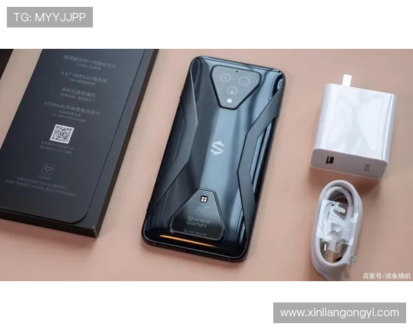 问鼎旗舰厅登录线路稳定性保障方案助你顺畅体验游戏乐趣