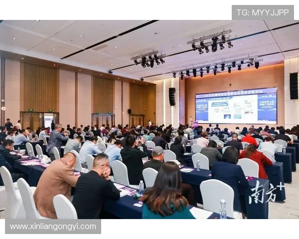 问鼎登录：创新用户界面提升操作体验赢得用户青睐